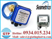 Đồng hồ đo lưu lượng Seametrics Việt Nam