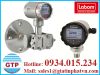 Đồng hồ đo áp suất Labom Việt Nam - anh 1