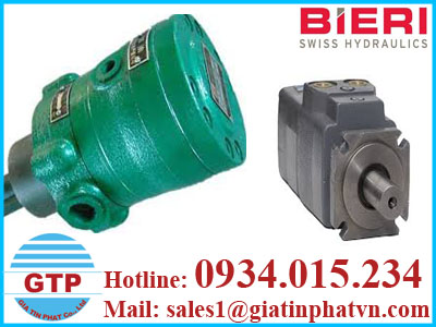 bom_piston_huong_truc_bieri_viet_nam1