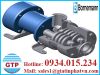 Máy bơm trục vít Bornemann Việt Nam - anh 1