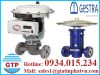 Nhà phân phối van GESTRA Việt Nam - anh 1