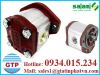 Máy bơm bánh răng Salami Việt Nam - anh 1