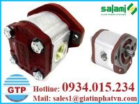 Máy bơm bánh răng Salami Việt Nam